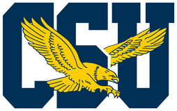 Coppin State Eagles
