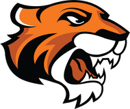 Collegiate athletics program